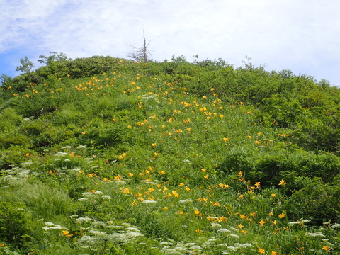 P7160084