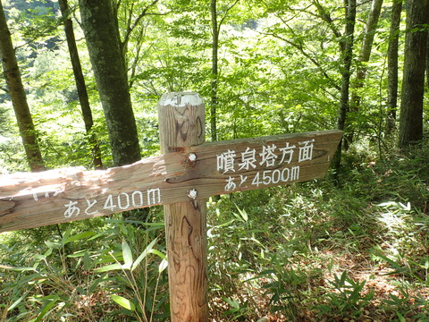 P8030005