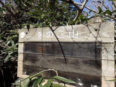 P2260126