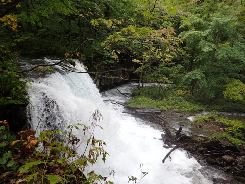 PA070085