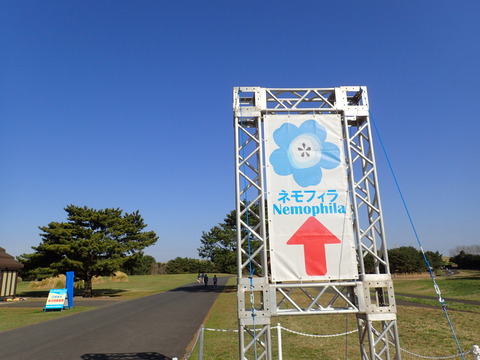 P4200004
