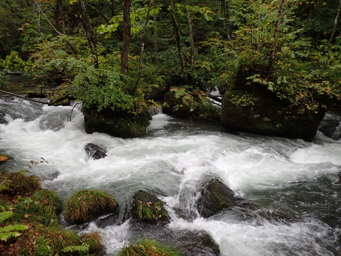 PA070043