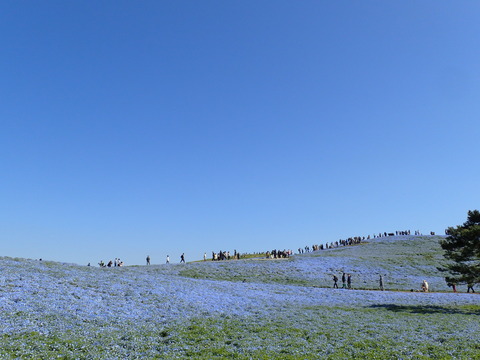 P4200079