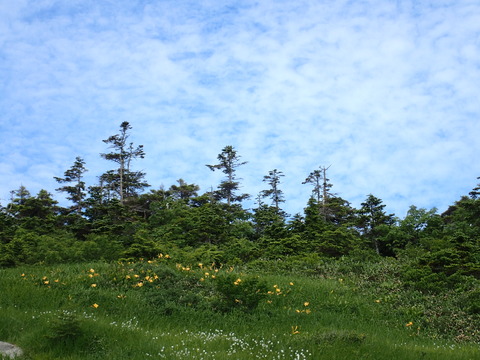 P7160041