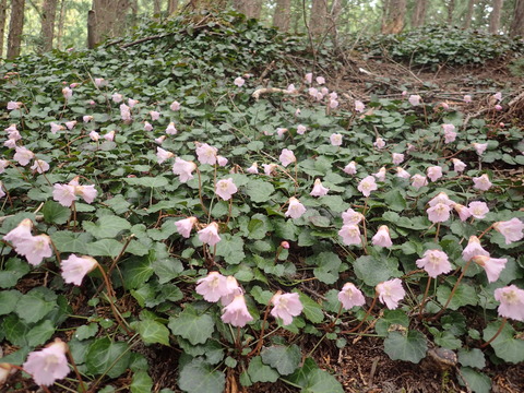 P4130086