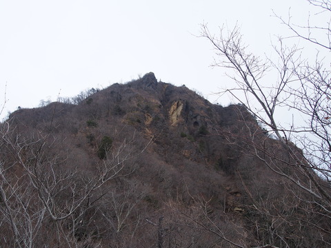 P3150034