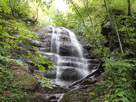 PA070098