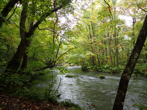 PA070053