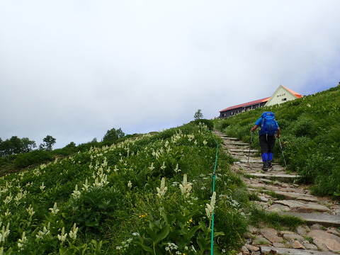 P7210039