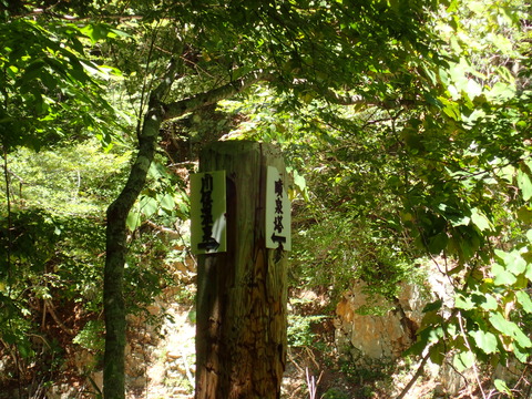 P8030064