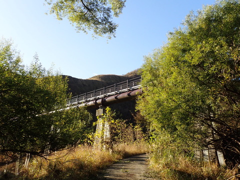 PA310008