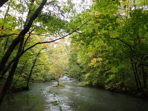 PA070040