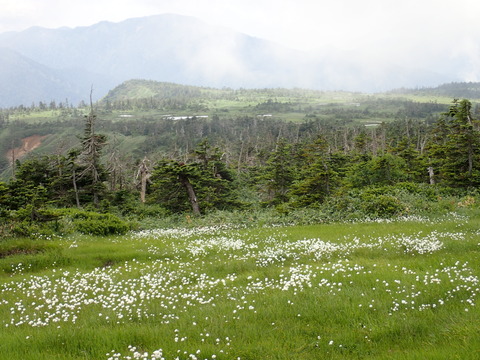 P7160120