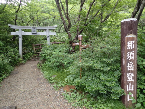 P7080002