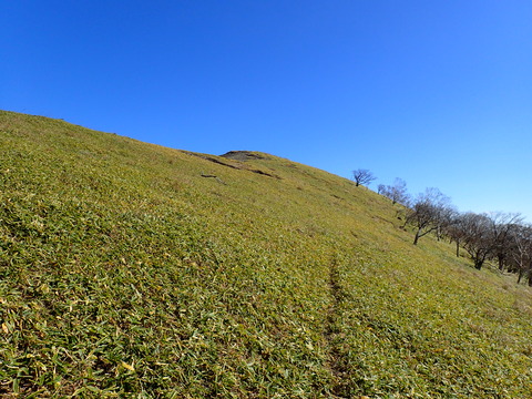 PA310078