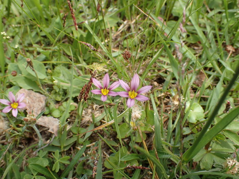 P5240117