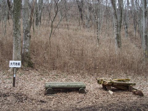 P3150109
