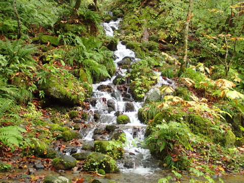 PA070076