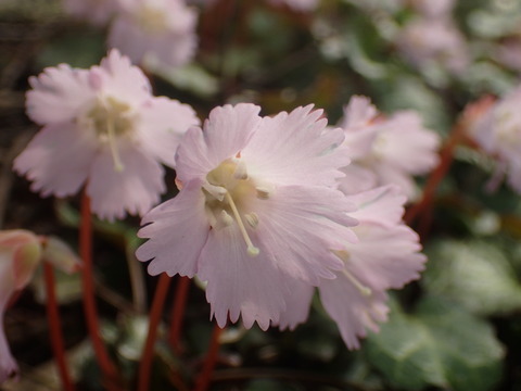 P4130117