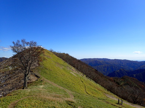 PA310082