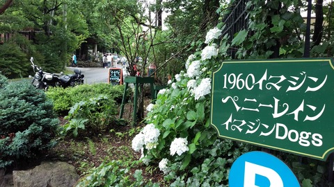IMAG0131