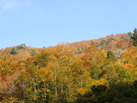 PA100060
