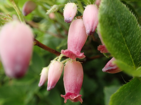 P7080059