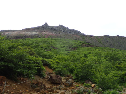 P7080005