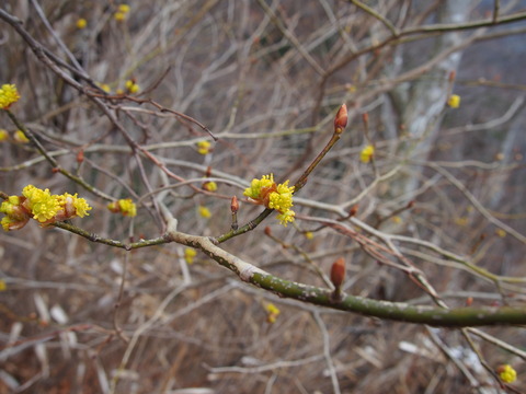 P3150039