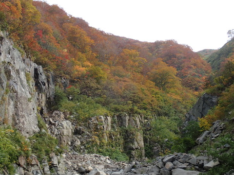 PA100105