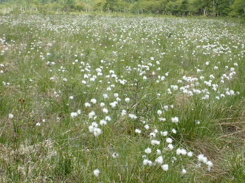 P6130226
