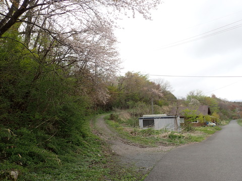 P5010004