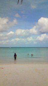 d0a95f66.jpg