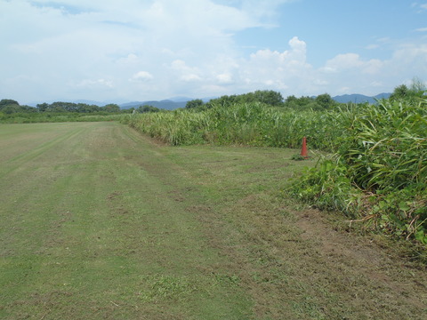 P3310014