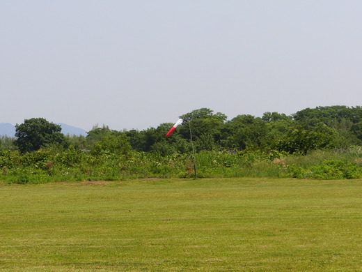 CIMG2225