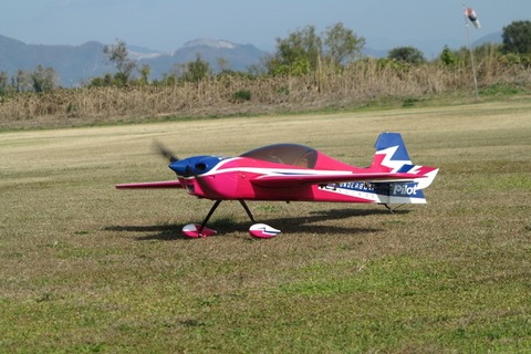 Dpp_0019