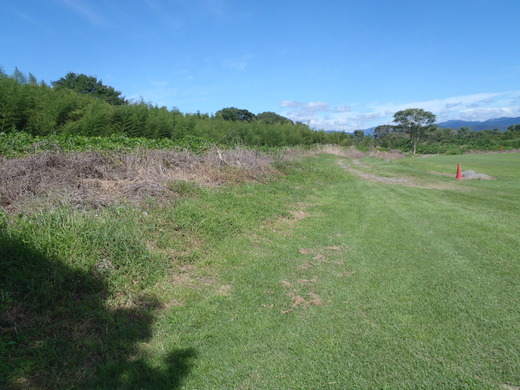 P9130216