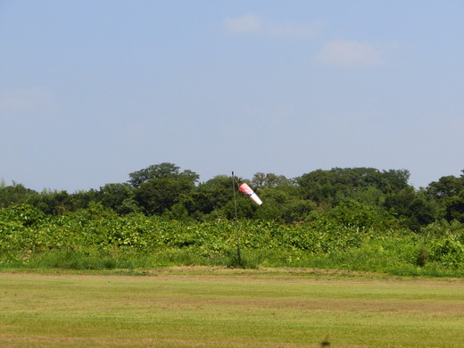 CIMG1102