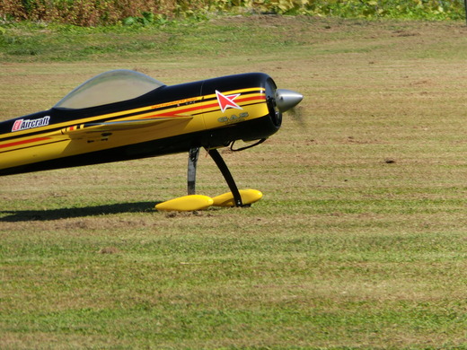 CIMG1306
