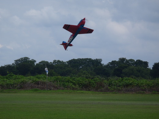 P8310147