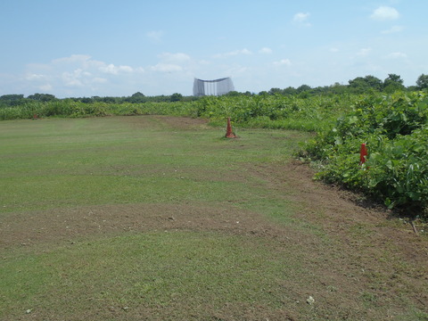 P3310012