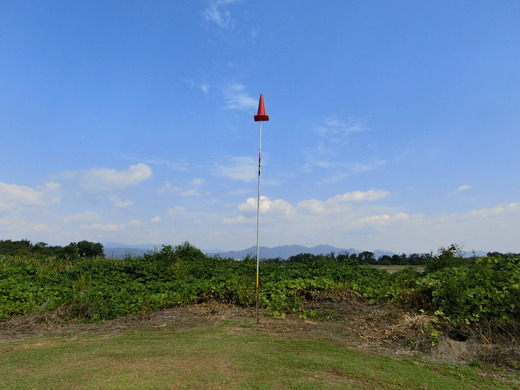CIMG1245