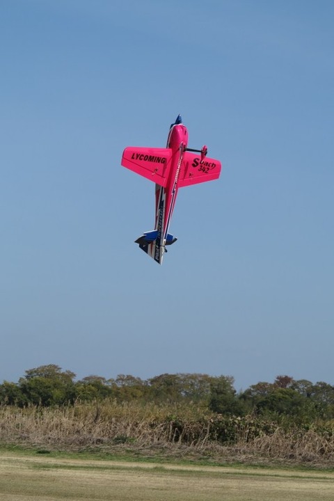 Dpp_0018