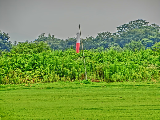 CIMG2446