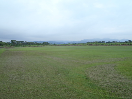 P8310130