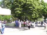 plaza de merlo