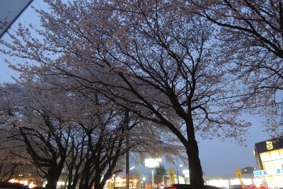 20130407_07