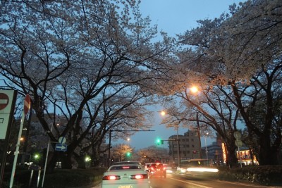 20130407_06