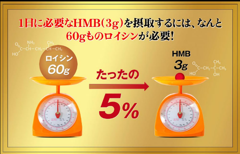 スクリーンショット (254)