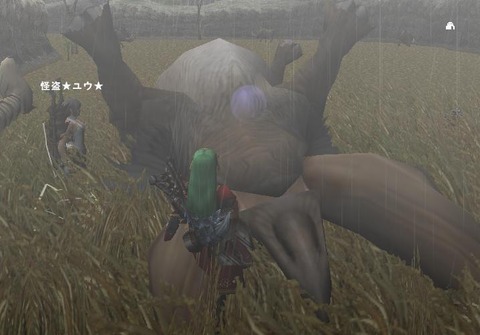 3eb3b663.jpg